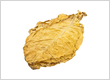 buy Virginia Gold Tobacco Leaves