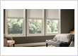 Motorized Window Shades