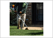 Lawn care service