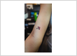mushroom tattoo colourfull minimla for women by screamzone tattoo shop on ghatkopar