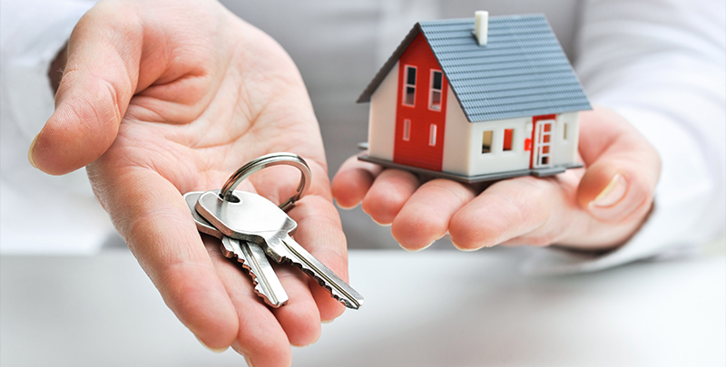 Trusted Financial and Home Loan Guidance for Auckland Residents