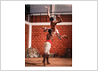 Ayurvedic and Siddha Treatments at Indimasi in Kerala