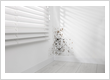 Mold Remediation