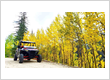 Silver Plume Rentals