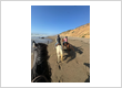 Beach Horseback Riding