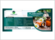 Best Homeopathy Clinic in Ambikapur