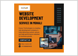 Website development