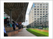 College Campus