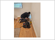 Electrical Contractor