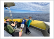 Whale Watching Maui