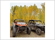 Colorado Sled Rentals
