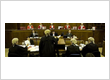 appeal-lawyers