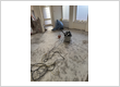 Precision Environmental Removalist