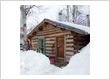 Cabin rental agency