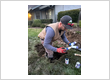 gas line services Sacramento