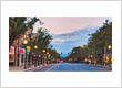 Family Law Attorney