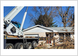 Arbor Max Tree Service