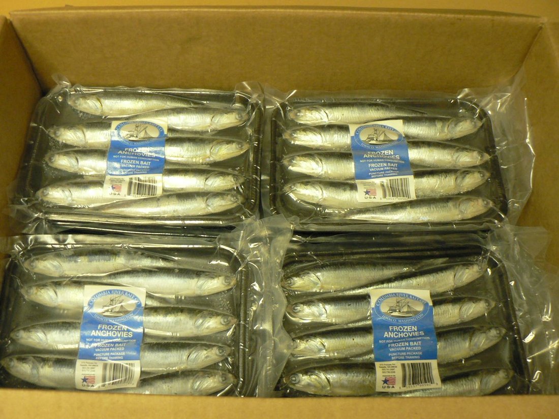 Rob's Baits Richmond, Canada