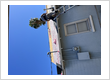roof leak repair mesa az