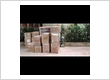 Packers and Movers Kanpur