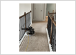 Carpet Boys Carpet Cleaning