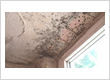 Water damage restoration service