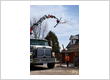 Tree Consultation & Plant Health Care