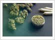 New Jersey Dispensaries