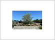 Tree Service La Verne CA