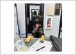 Partners and Paws Veterinary Services