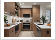 Kitchen Repairs