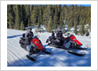 Tour operator