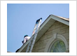 Utilizing a variety of roofing materials suited to local climates, including single-ply systems (TPO, PVC, EPDM), asphalt shingles, architectural panels, and metal roofing.