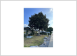 Tree Service La Verne CA