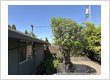 PDX Tree Service, Inc.
