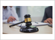 Criminal Defense Attorney