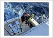 Fort Lauderdale deep sea fishing adventure with a fresh mahi-mahi catch aboard Don’t Tell Mom Sportfishing