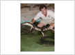 animal protection organization