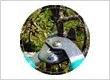 Austin Tree Service Pros