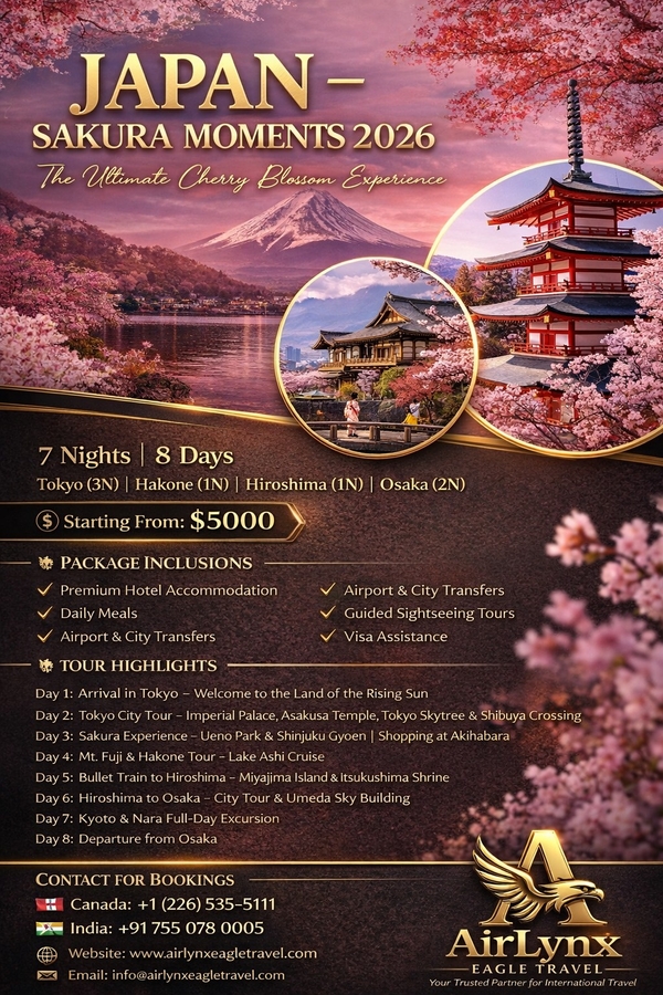 Airlynxeagletravel – Best Platform to Book Cheap International Flights