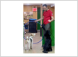 In-Home Dog Behavior Modification & Group Classes NYC