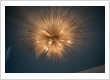 Lighting Contractor