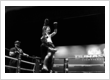 MMA gym near me