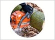 Austin Tree Service Pros