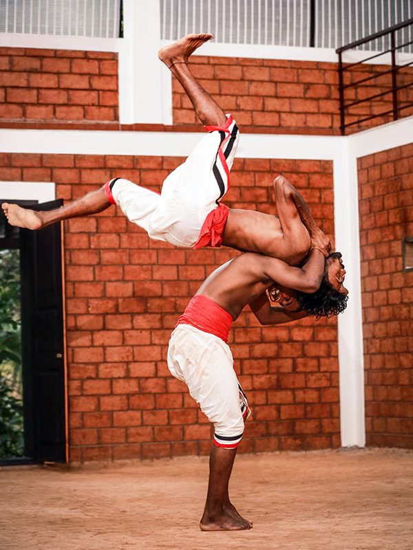 How Ayurveda, Siddha, Yoga, and Kalari Work Together for Holistic Healing