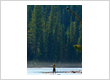 Canoe & kayak tour agency