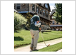 Lawn care service