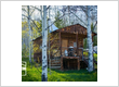 Cabin rental agency
