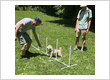Agility Training Classes