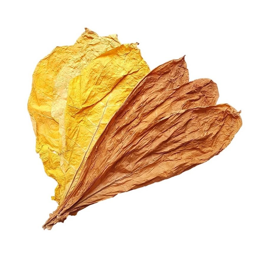 Organic Tobacco Leaves for Sale – Premium Whole Leaf Tobacco from TabaccoLeaf.com